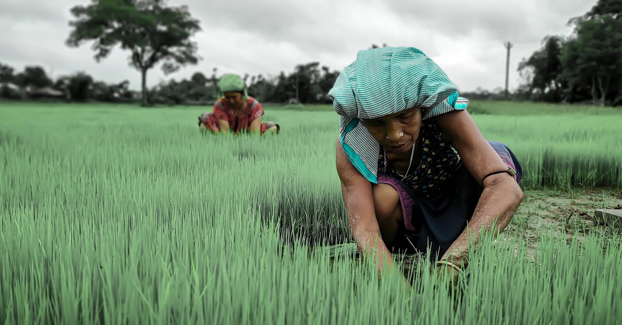 Family Farming: Raising Women Out of Poverty in Developing Countries